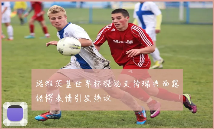 诺维茨基世界杯现场支持瑞典面露错愕表情引发热议